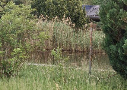 Und ich dachte, das wäre geklärt – Teil 1